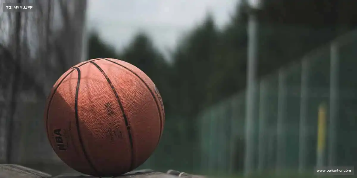 金年会登录入口——全民动起来，健康更精彩！🏃⚽